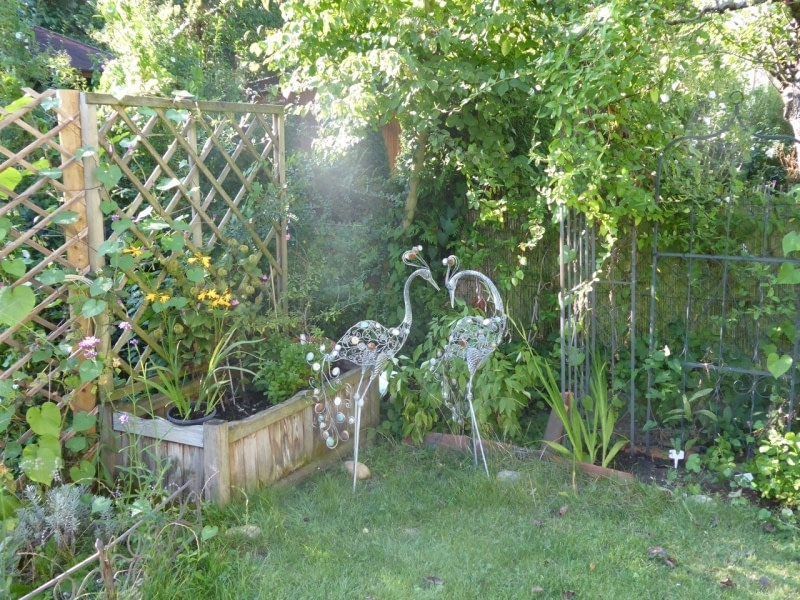 August-September-2016-100