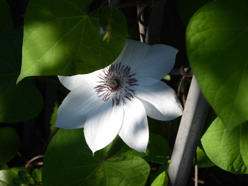 August-September-2016-103