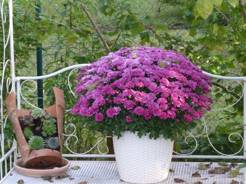 September-Oktober-2016-111