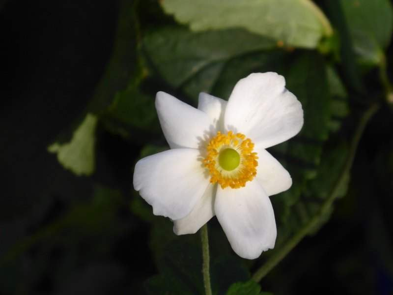 September-Oktober-2016-135