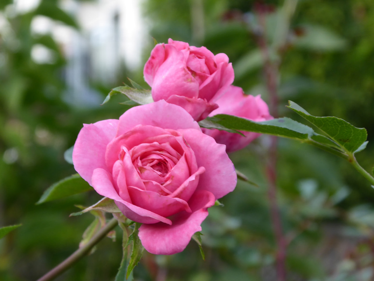 september-oktober-2016-050